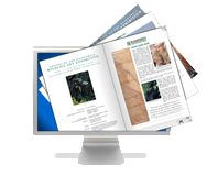 e-Viewbooks, e-Brochures
